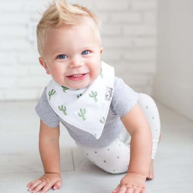 美国 Copper Pearl | 围兜4件组-红格纹仙人掌 X001A5G9UP - 围嘴/口水巾 - 棉．麻 