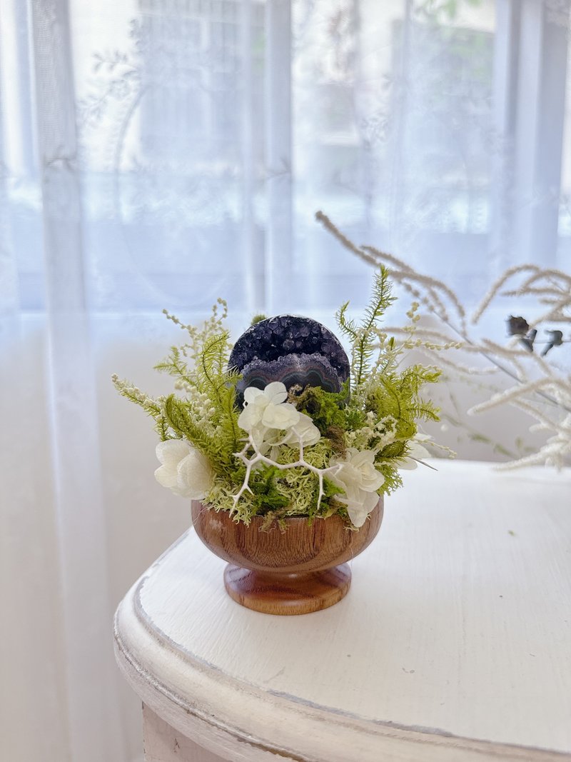 乌拉圭开口笑 紫水晶。小太阳 日日东升 永生绿植栽 - 植栽/盆栽 - 水晶 紫色