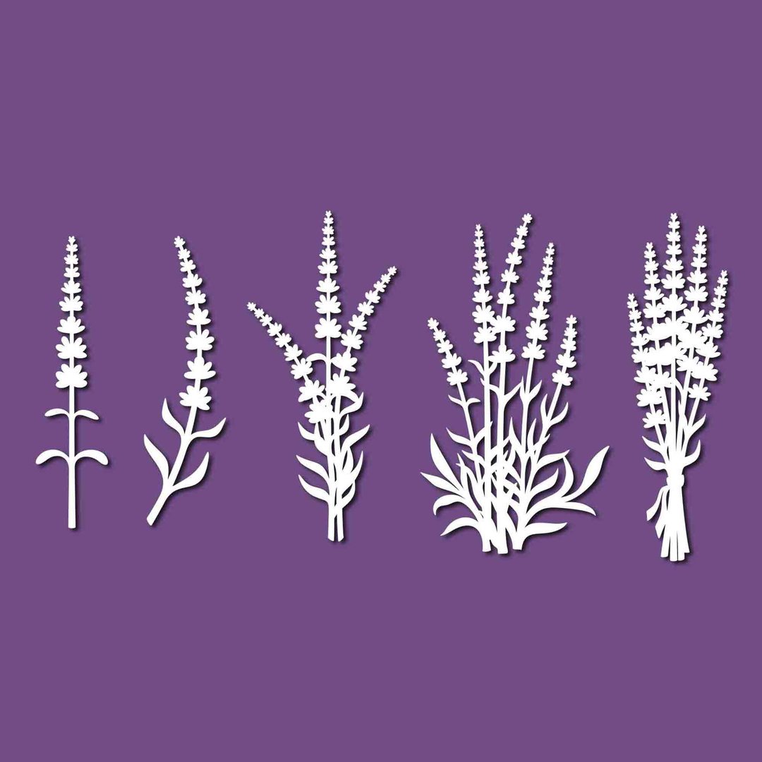 Lavender svg, lavender template, lavender pdf, lavender png, lavender laser cut - 图文模板设计 - 其他材质 