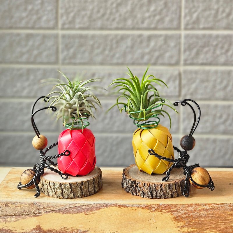 【好运旺来】含空凤/1入 - 植栽/盆栽 - 木头 多色