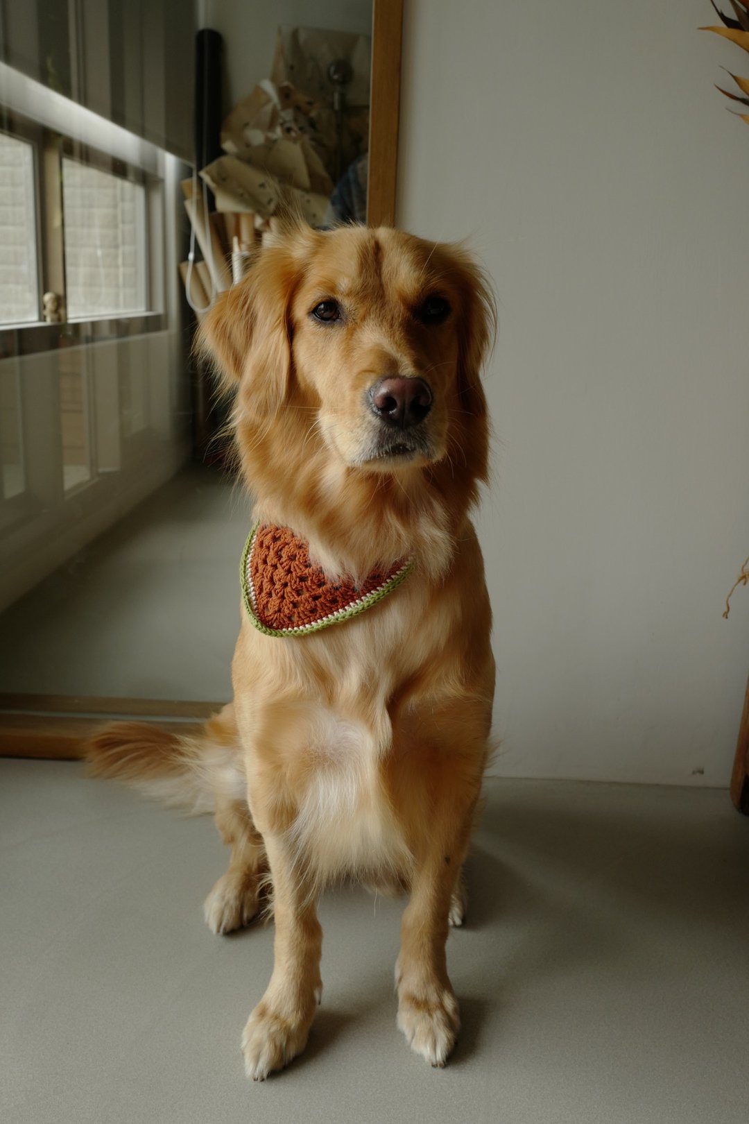 野菜犬巾∣快乐小狗的日常配件 - 项圈/牵绳 - 棉．麻 
