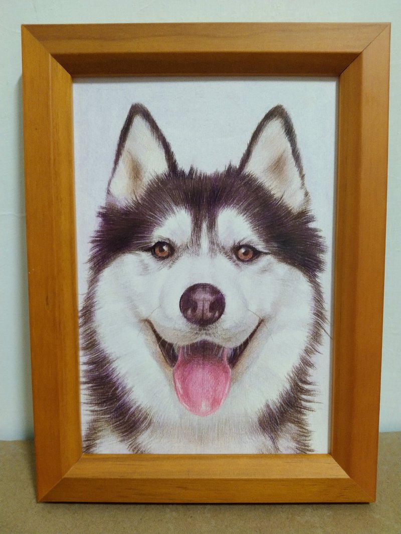 摆设 / 哈士奇 / 色铅笔画 / 原稿 / 含框 - 海报/装饰画/版画 - 纸 