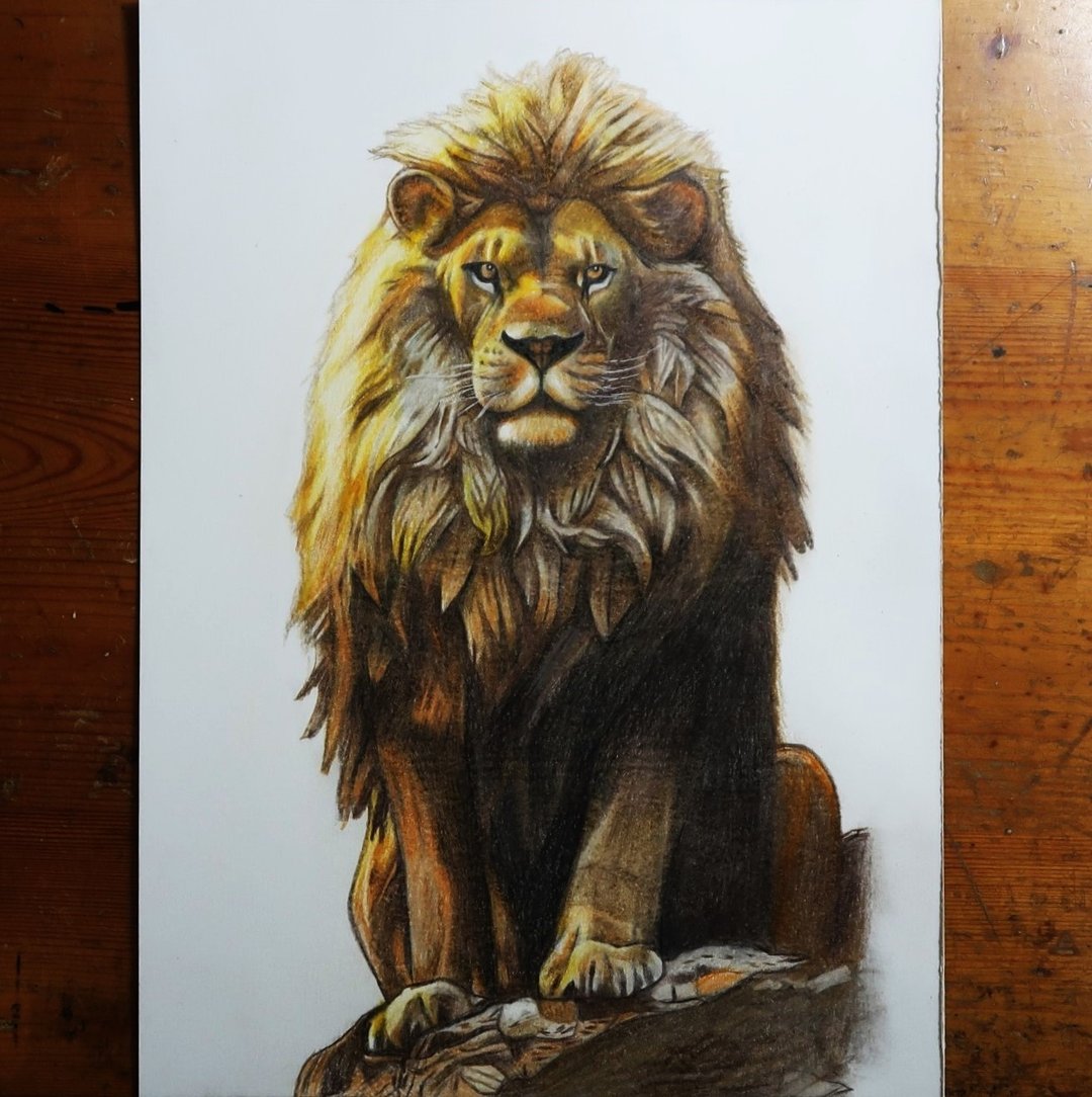 1.狮子画(上架作品)  2.定制画  3.缩时摄影 - 订制画像 - 纸 橘色