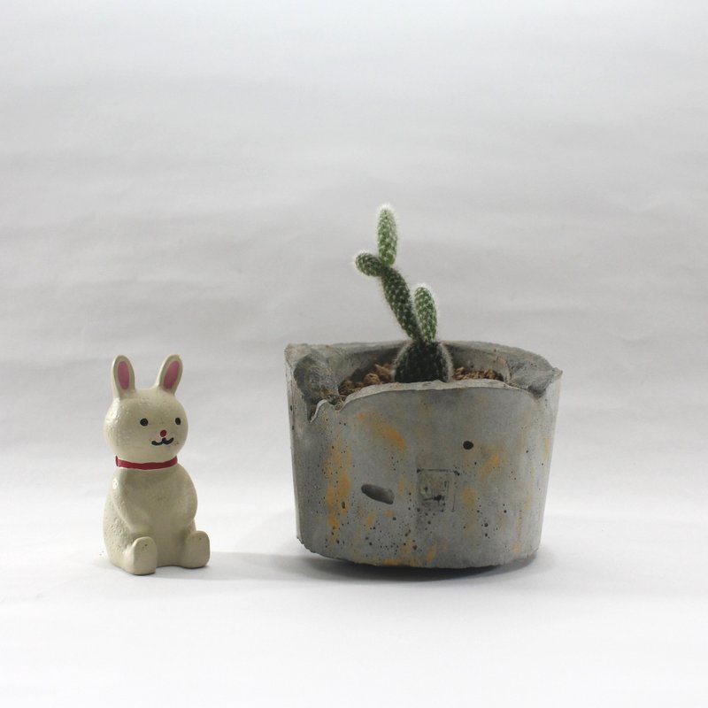 多肉植物小盆栽-哈啰，元气的一天从打招呼开始 - 植栽/盆栽 - 水泥 灰色