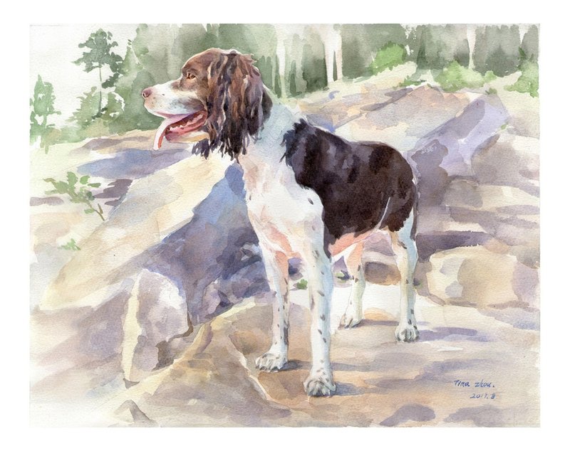 似颜绘 宠物水彩肖像定制画 Portrait Paiting Custom 画像委拖 - 订制画像 - 纸 