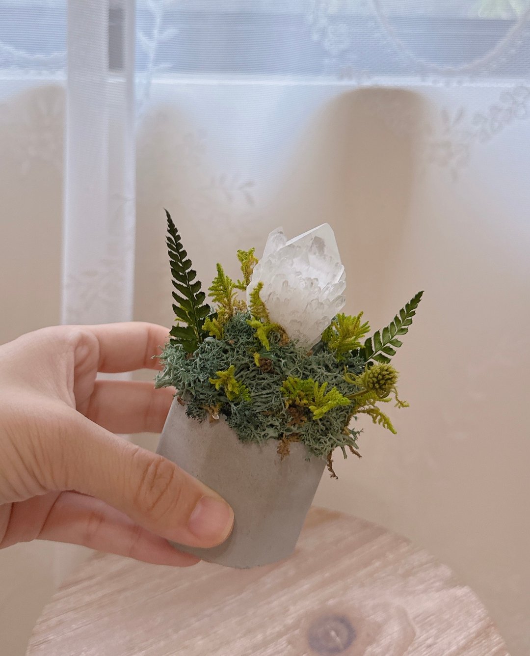 菠萝白水晶簇-幽静小雪山。永生叶材绿植栽 - 植栽/盆栽 - 水晶 白色