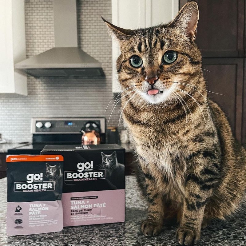 go! 猫咪机能主食餐包 多件组 (猫罐 鲜食 即食餐包 机能保健) - 猫罐头/鲜食 - 新鲜食材 
