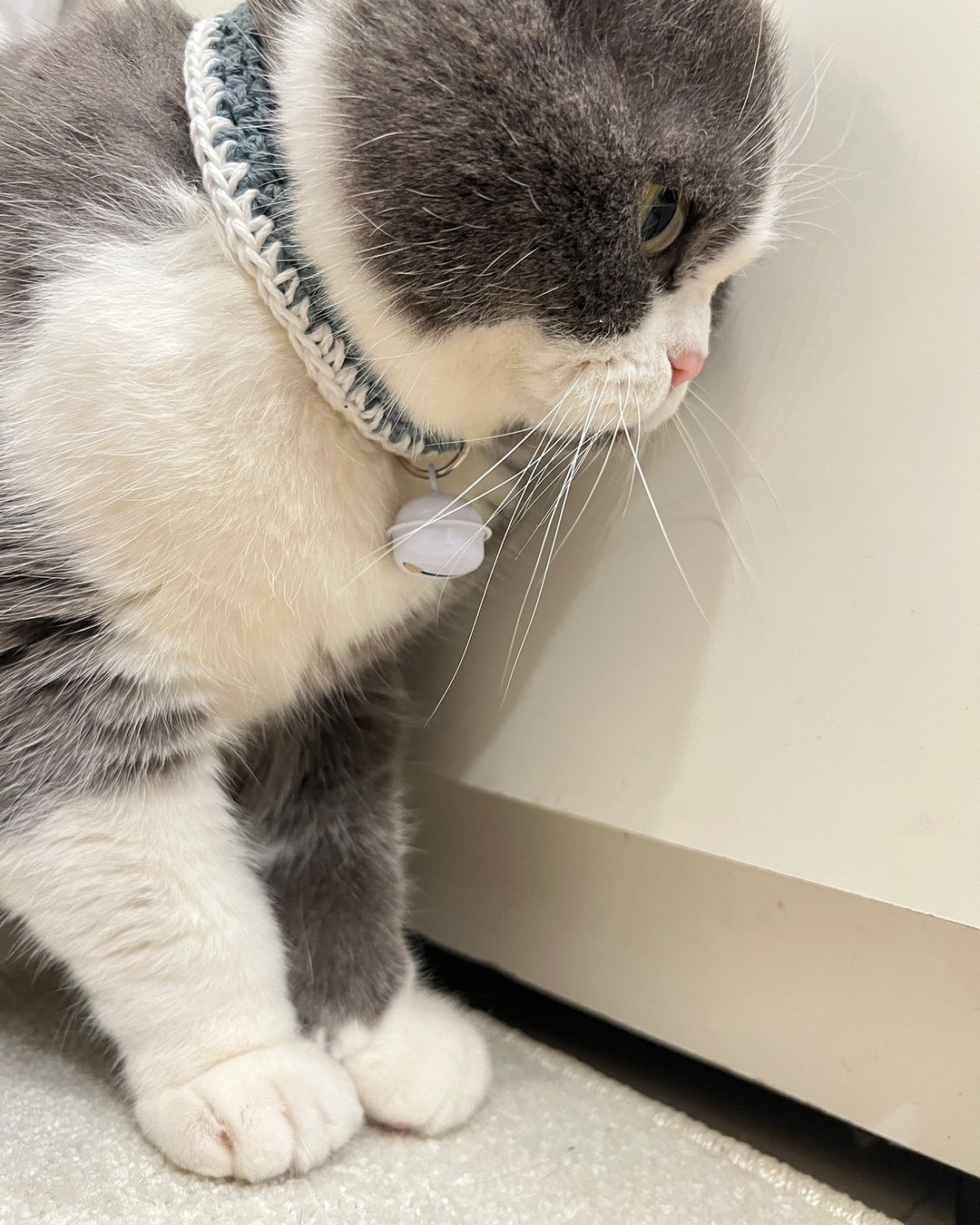 【铃铛+安全扣】纯棉拚色猫项圈-浅灰+白 手作/安全项圈/纯棉 - 项圈/牵绳 - 棉 