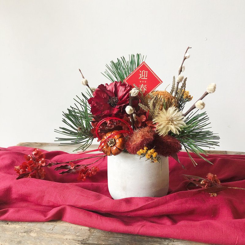 新年干燥水泥盆花 - 干燥花/捧花 - 植物．花 红色