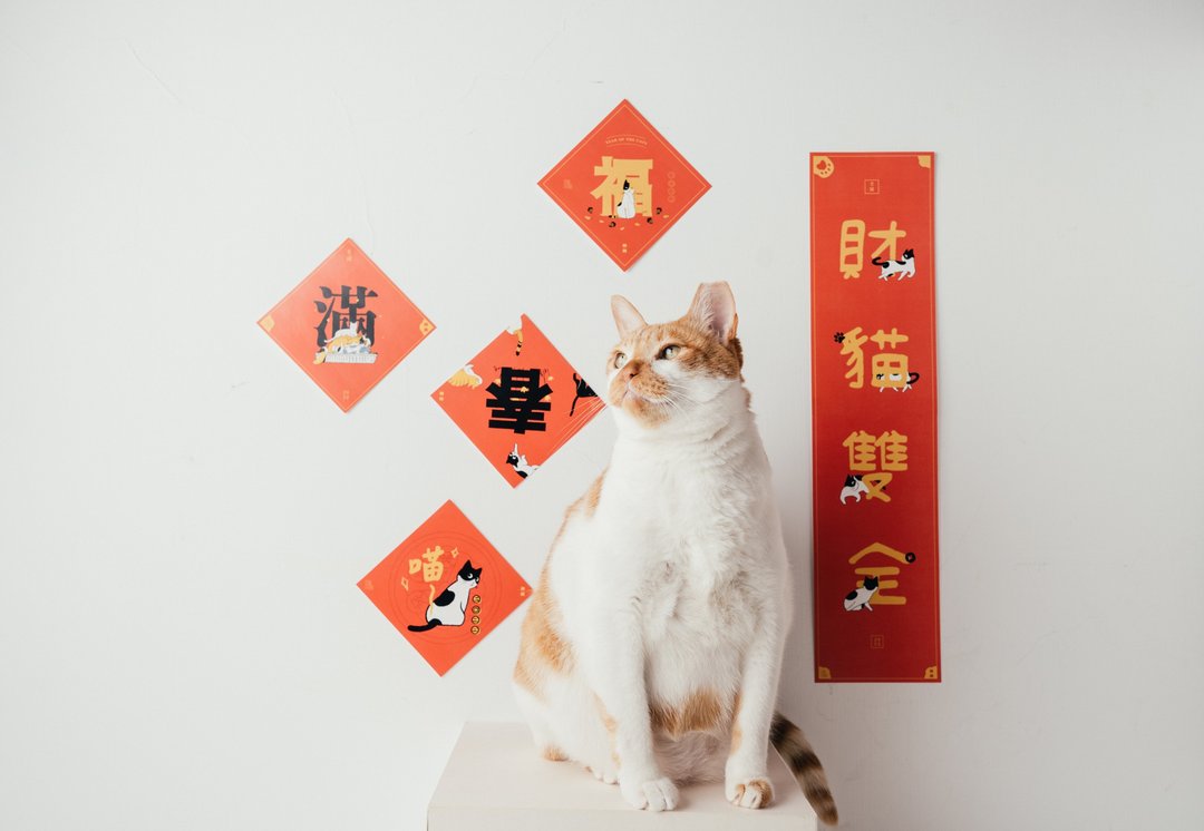 mememaomao | 虎年猫春联 - 红包/春联 - 纸 红色