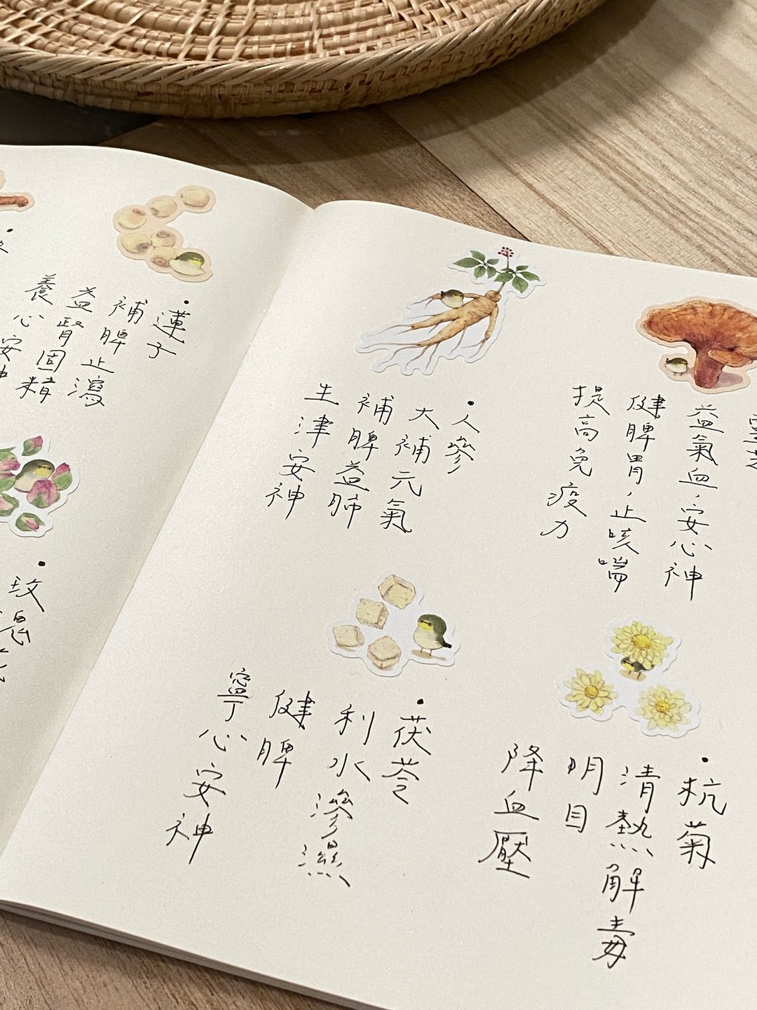 绿绣眼与本草纲目 图鉴贴纸 2款 - 贴纸 - 纸 