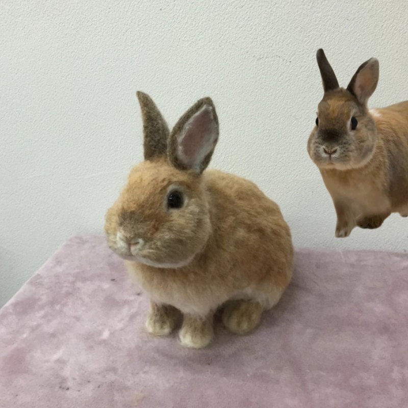 客制化逼真兔子 羊毛毡 宠物 娃娃 定制 手工 兔兔 毛孩子 269 - 玩具 - 羊毛 多色