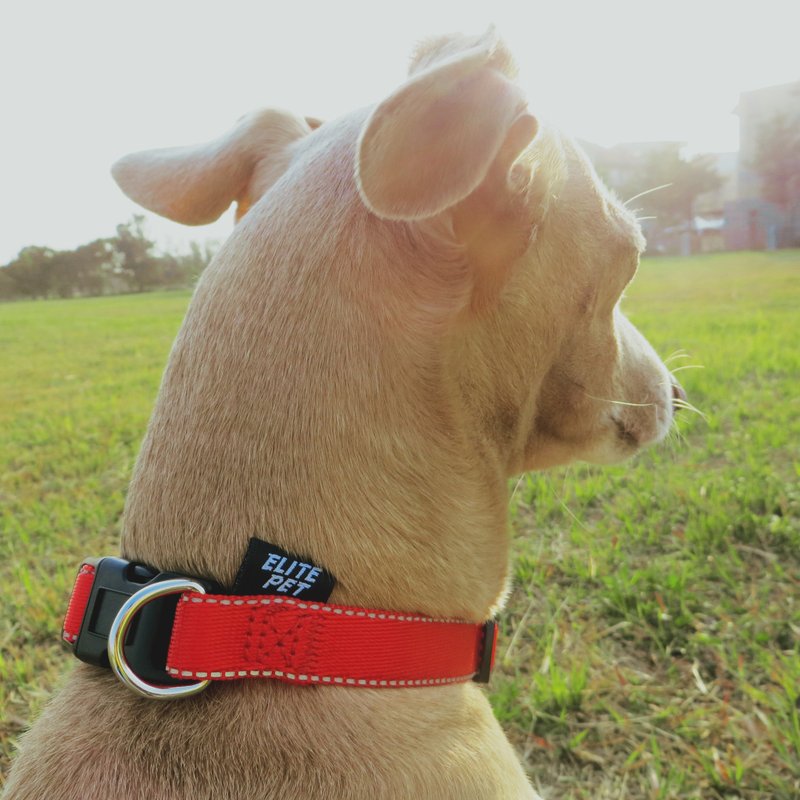 经典系列 宠物反光颈圈 L 红/蓝/黑 - 项圈/牵绳 - 尼龙 红色