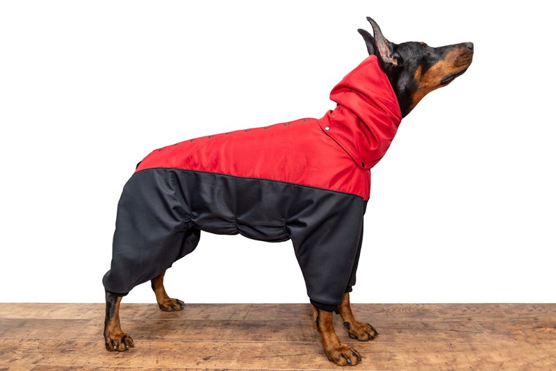 Doberman Winter Full Body Jacket Custom Made Dog Snowsuit Full Body Coat - 衣/帽 - 尼龙 