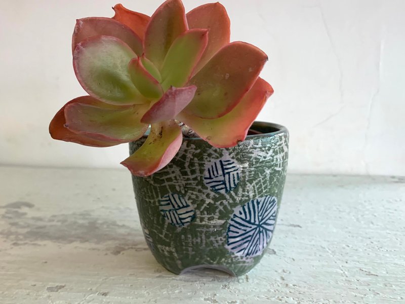 绿茵烟花植栽器皿_陶器花器盆栽 - 植栽/盆栽 - 瓷 绿色