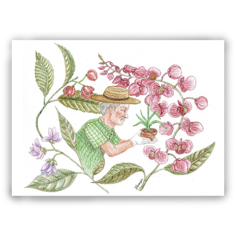 父亲节-手绘插画万用卡/卡片/明信片/插画卡-花绘 花卉 种花 花草 - 卡片/明信片 - 纸 多色