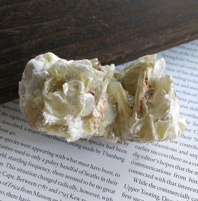 Mica 秘鲁产地 金云母 造岩矿物 天然矿石 原矿 - 摆饰 - 其他材质 
