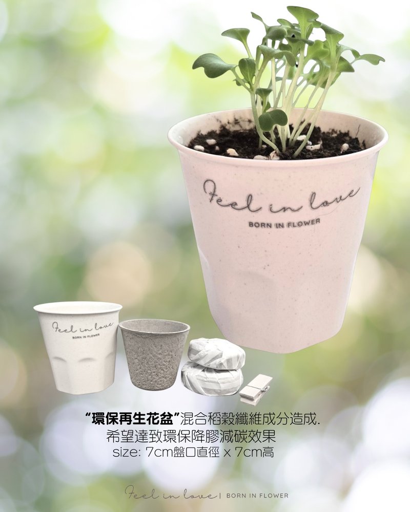 种植小套装|环保再生花盆混合稻谷纤维成分造成. - 植栽/盆栽 - 其他材质 白色
