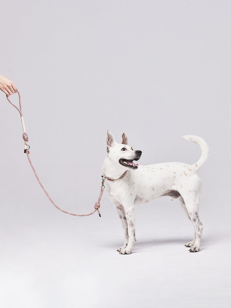 【Pawlaneta】Flow宠物牵绳-圆绳多用款 - 项圈/牵绳 - 尼龙 多色