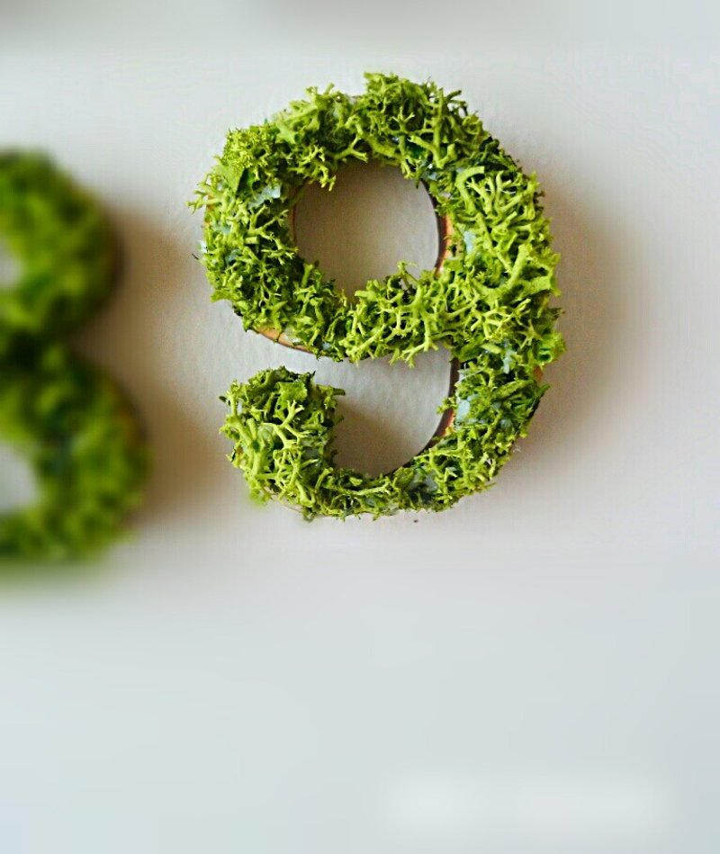 Wooden number object (moss) 5 cm /9 x 1 piece - 摆饰 - 木头 绿色