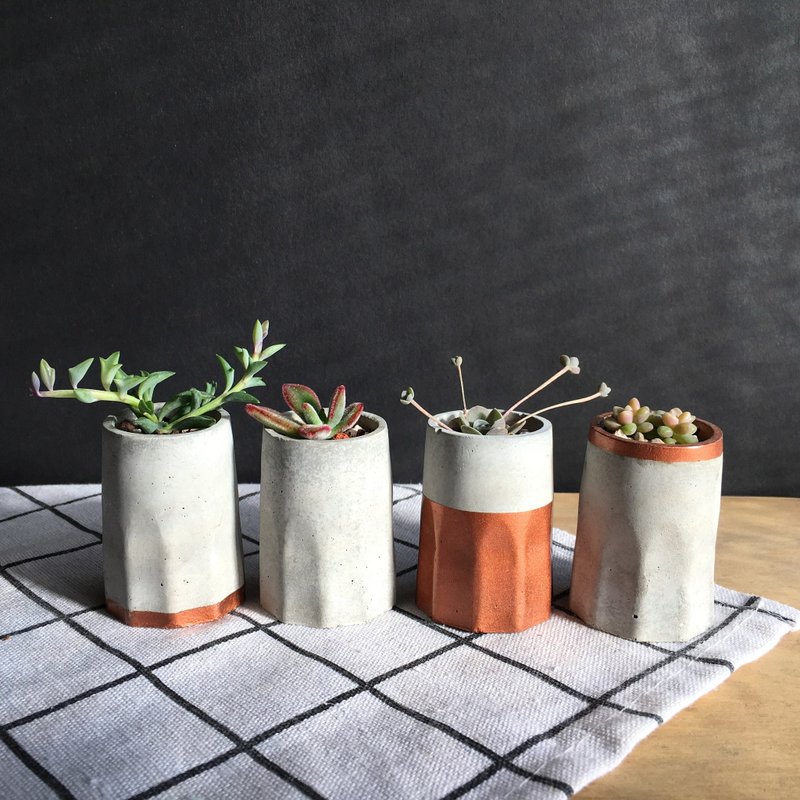 干一杯多肉。多肉植物水泥盆栽。红铜金盛装款四入组 - 植栽/盆栽 - 水泥 灰色