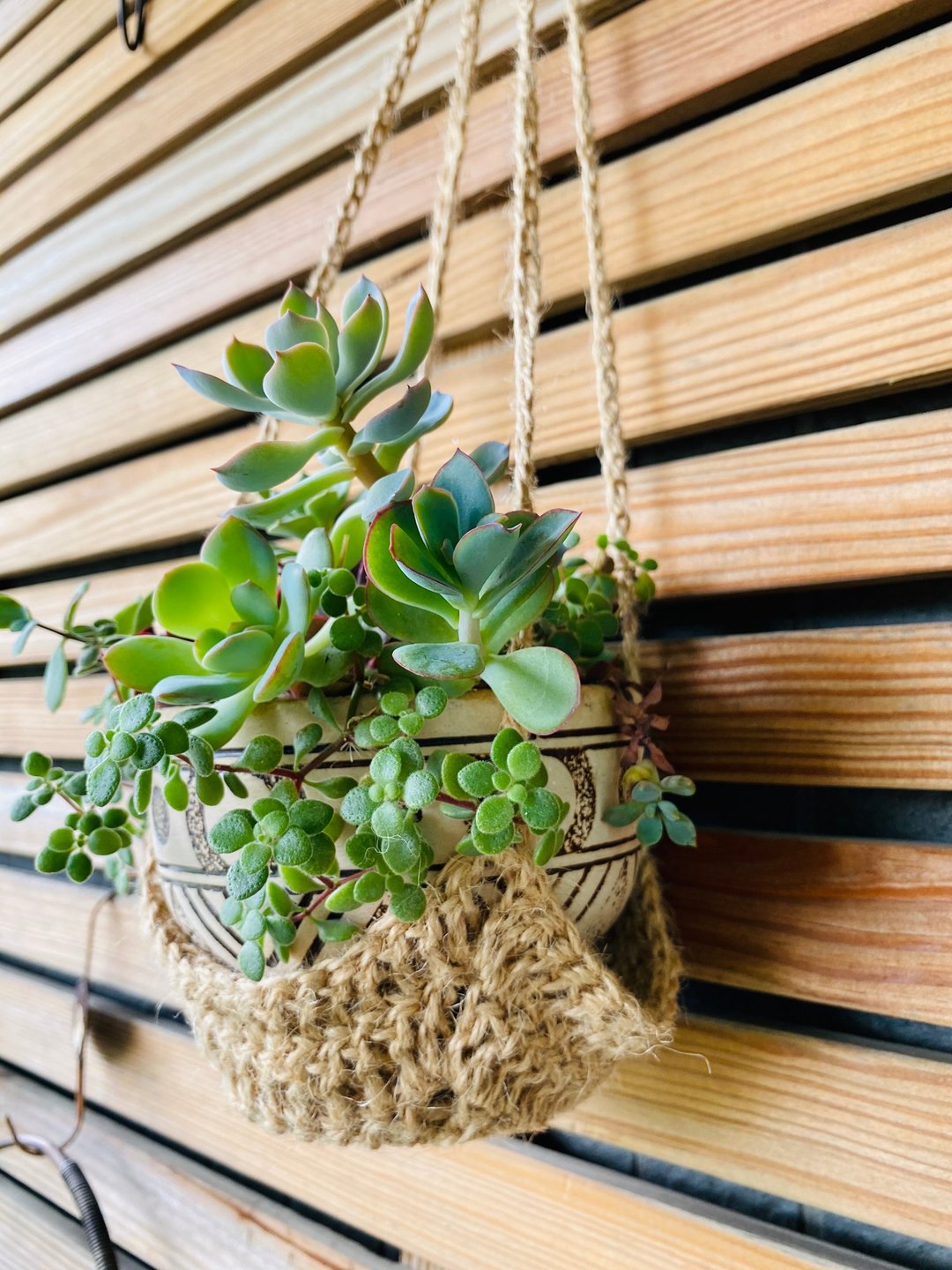 天然原麻编织植栽吊篮/S - 植栽/盆栽 - 棉 卡其色