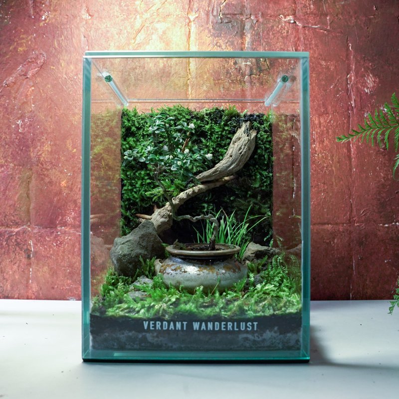 【生态缸－瓮中紫语】微景观 室内植栽 礼物 办公室摆设 - 植栽/盆栽 - 玻璃 绿色