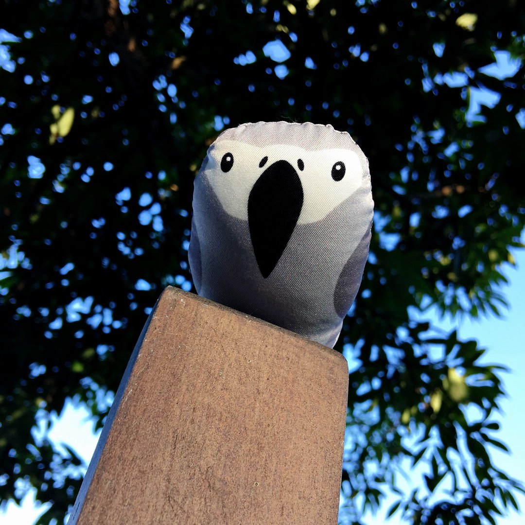 DIY手作鹦鹉 ∣ 灰鹦 GreyParrot · 纸镇手作材料包 - 其他 - 其他材质 灰色