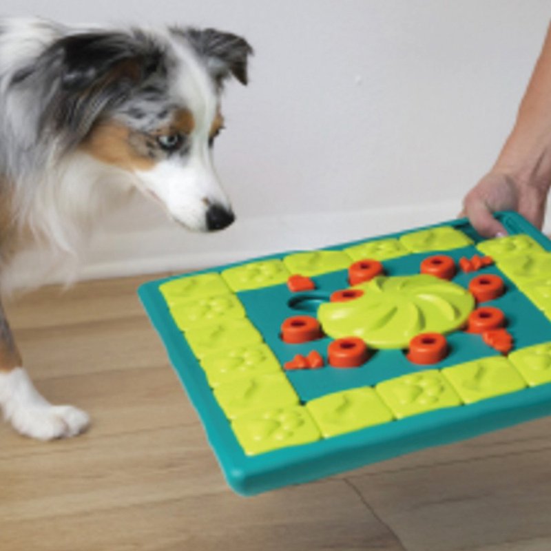 【瑞典益智玩具】 狗大师-棋盘高手 LV4 宠物玩具 - 玩具 - 橡胶 