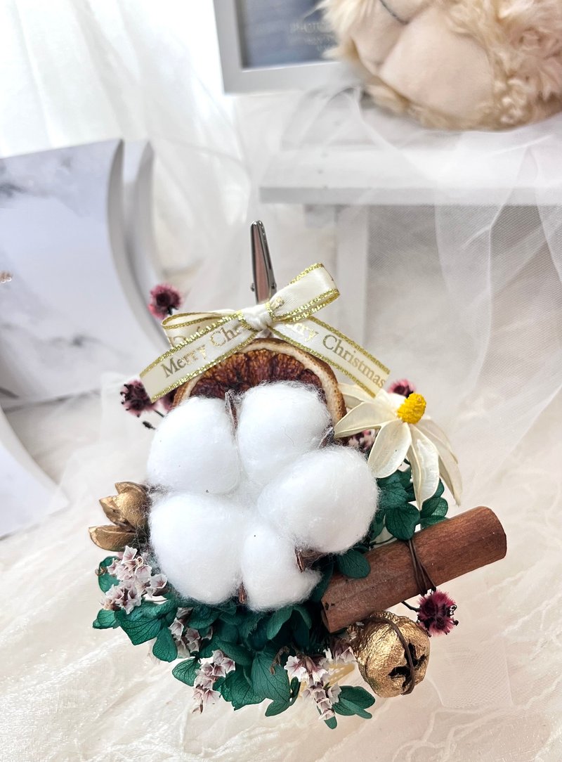 圣诞节限定 缤纷疗愈系盆花/圣诞节交换礼物/实用小物 - 干燥花/捧花 - 植物．花 