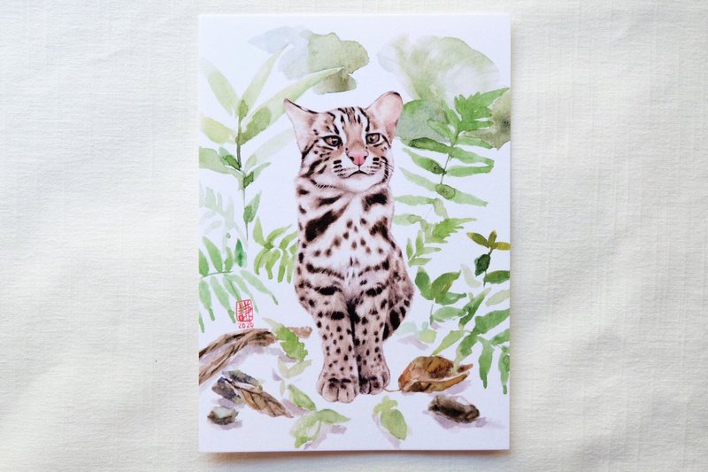 石虎明信片 - 卡片/明信片 - 纸 多色