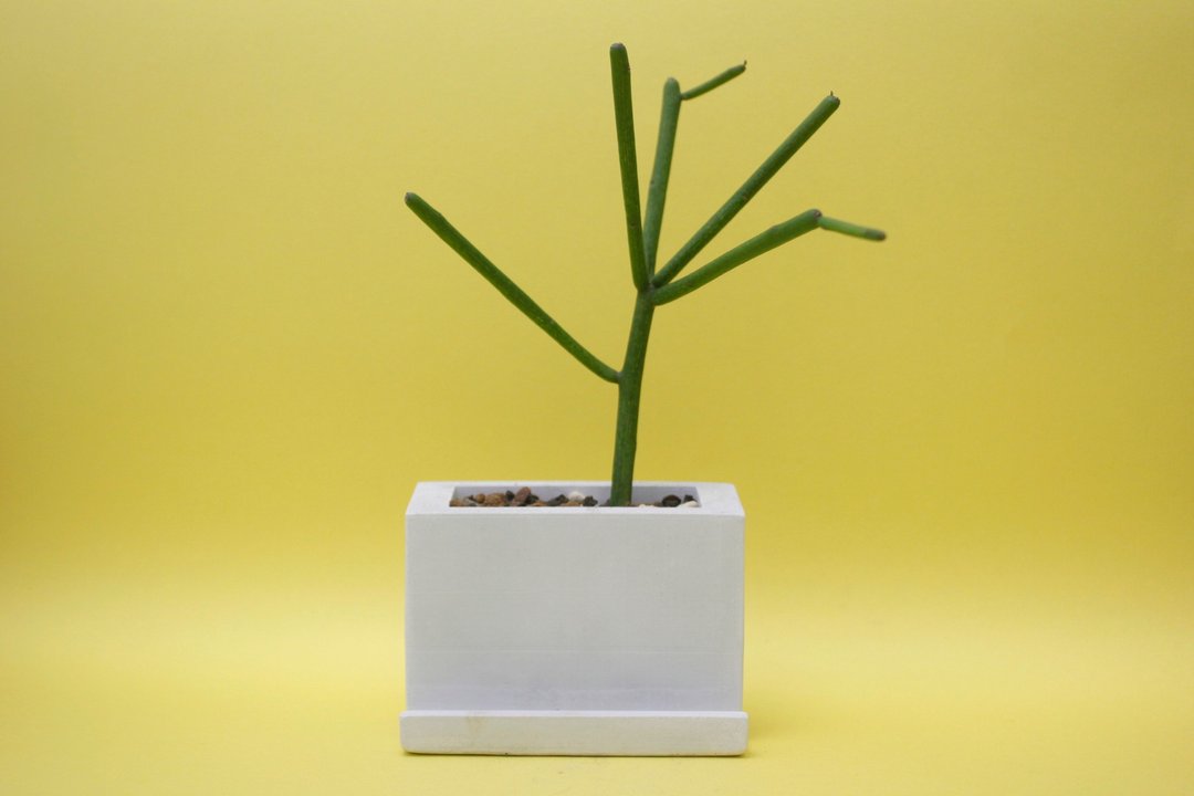 〖 秋鱼手作工坊 〗 水泥植栽×多肉植物 ＿您好，这是我的名片！ ░ 灰 白 ░ - 植栽/盆栽 - 水泥 银色