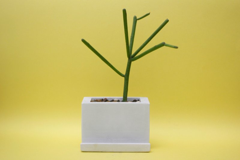 〖 秋鱼手作工坊 〗 水泥植栽×多肉植物 ＿您好，这是我的名片！ ░ 灰 白 ░ - 植栽/盆栽 - 水泥 银色