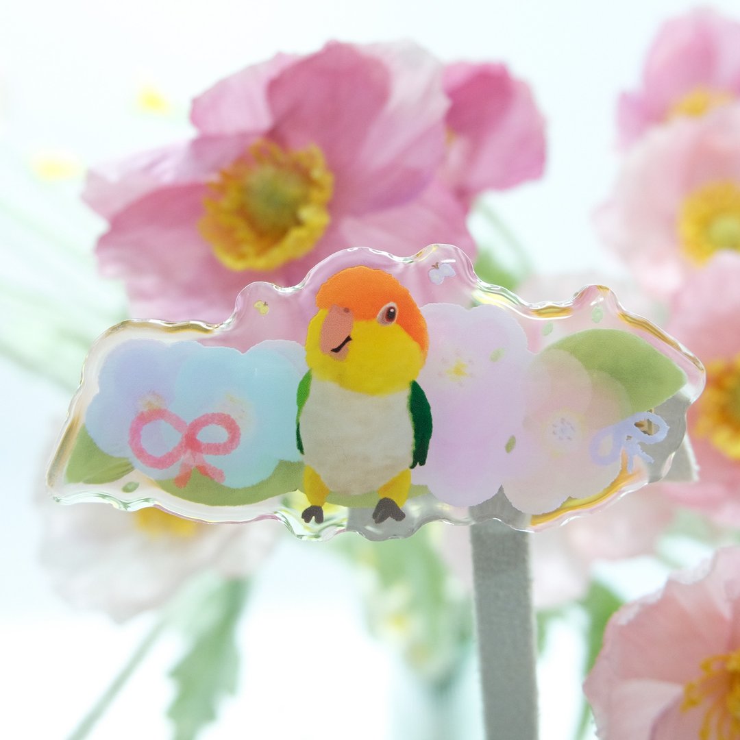 凯克鹦鹉和水彩花花发夹 凯克鹦鹉发夹 万用夹 - 发饰 - 树脂 