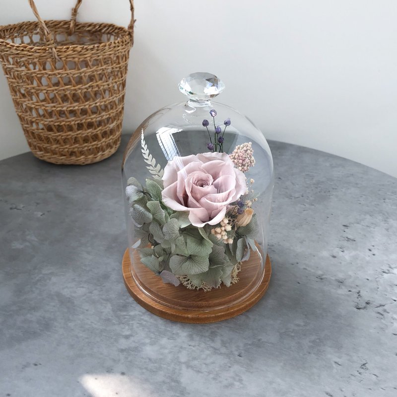 奶茶色 玻璃罩 永生花 干燥花 情人节礼物 生日礼物 教师礼物 - 干燥花/捧花 - 植物．花 