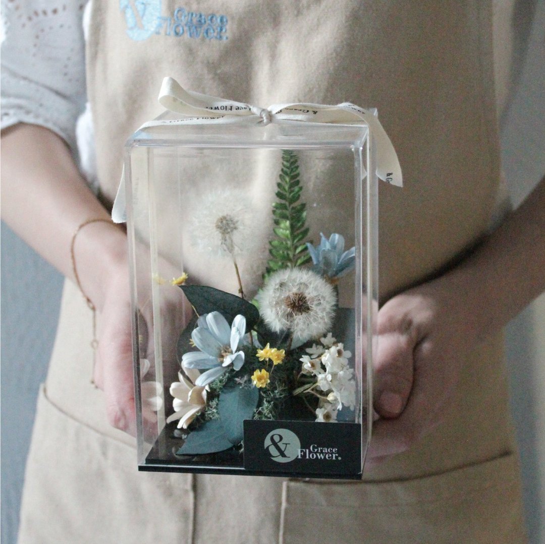 【希望花园/小】永生花盒/永生花/生日花礼/居家布置 - 干燥花/捧花 - 植物．花 绿色