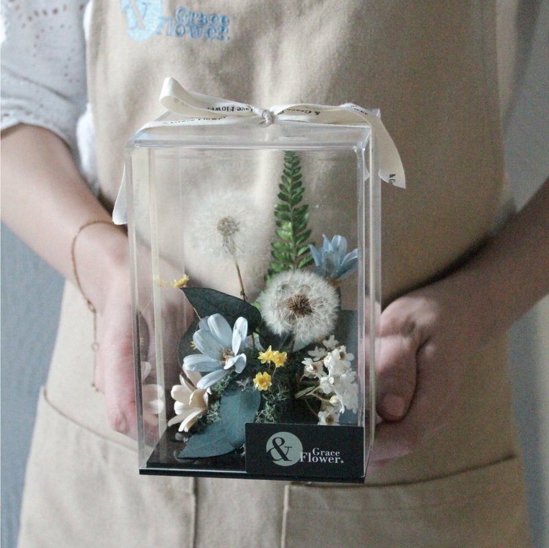 【希望花园/小】永生花盒/永生花/生日花礼/居家布置 - 干燥花/捧花 - 植物．花 绿色