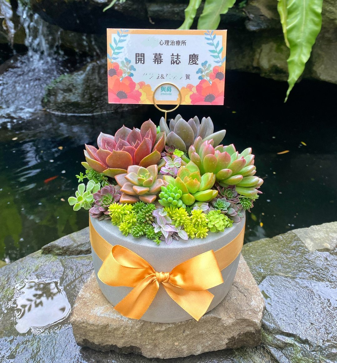 【急单可】免费定制卡片/安全运送/多肉盆栽/水泥盆/开幕 升迁 花 - 植栽/盆栽 - 植物．花 绿色
