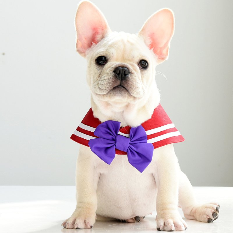 【大红大紫限定优惠】宠物三种穿搭水手领--大红 - 衣/帽 - 棉．麻 红色