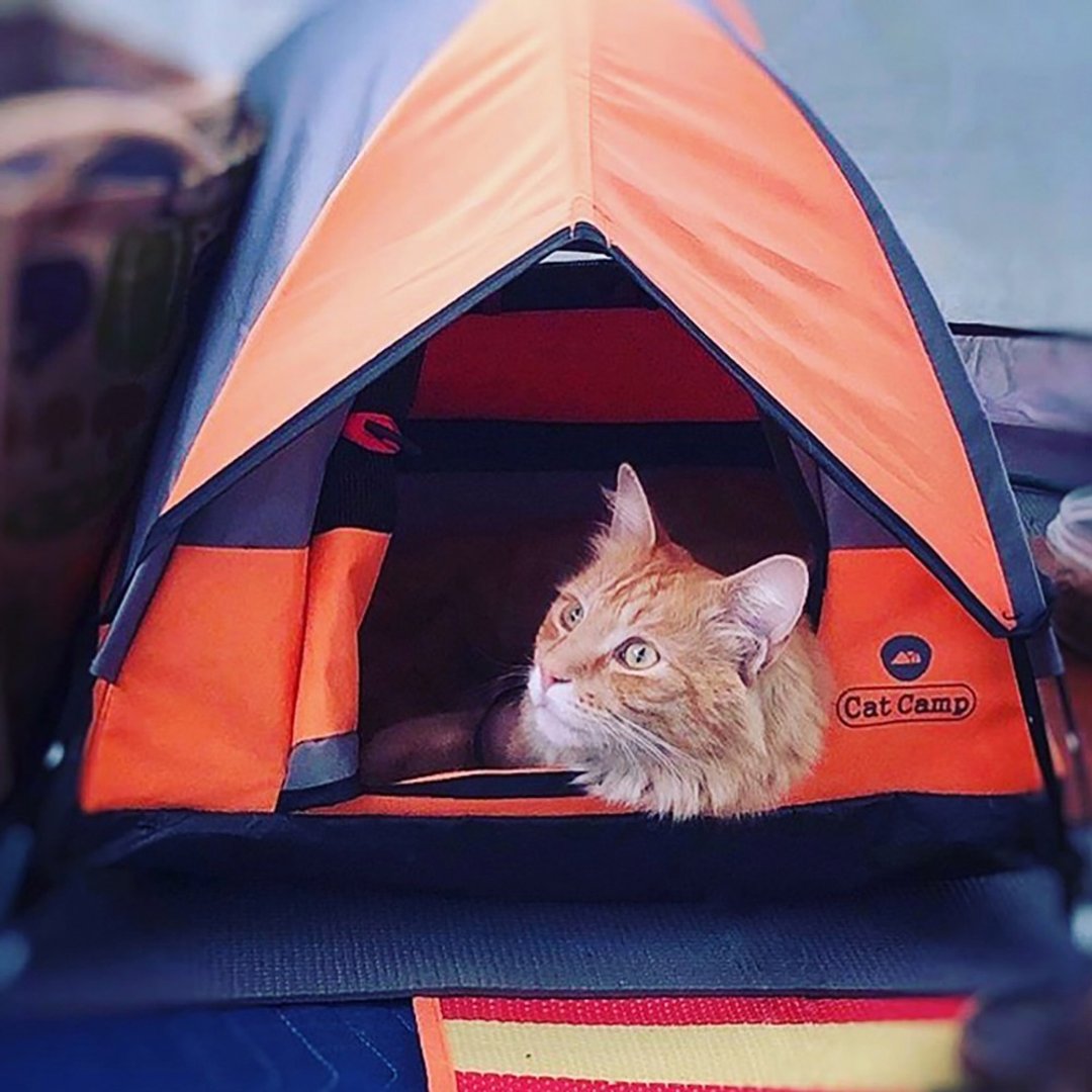 CatCamp猫咪露营帐篷-阳光橘 - 床垫/笼子 - 塑料 