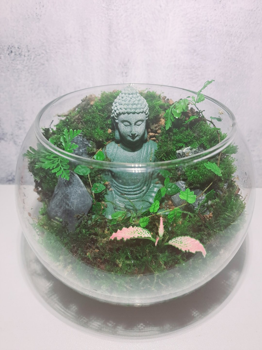 【苔疗愈】佛像禅意-生态瓶DIY材料包 - 植栽 - 玻璃 透明