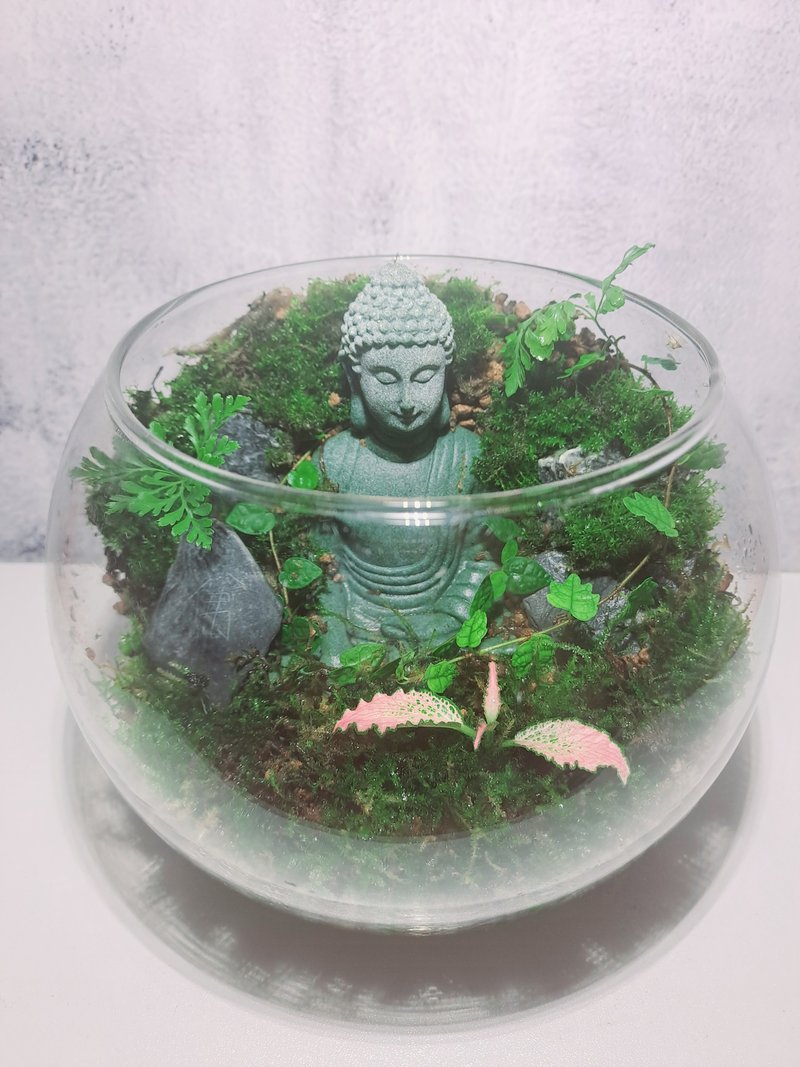 【苔疗愈】佛像禅意-生态瓶DIY材料包 - 植栽 - 玻璃 透明