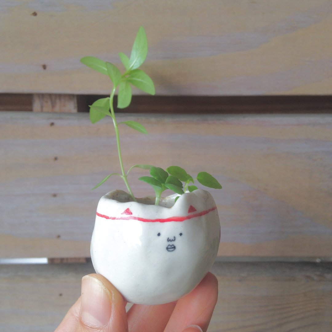 一点红小花器--办公植栽  疗愈小物 多肉小盆栽 - 植栽/盆栽 - 陶 白色