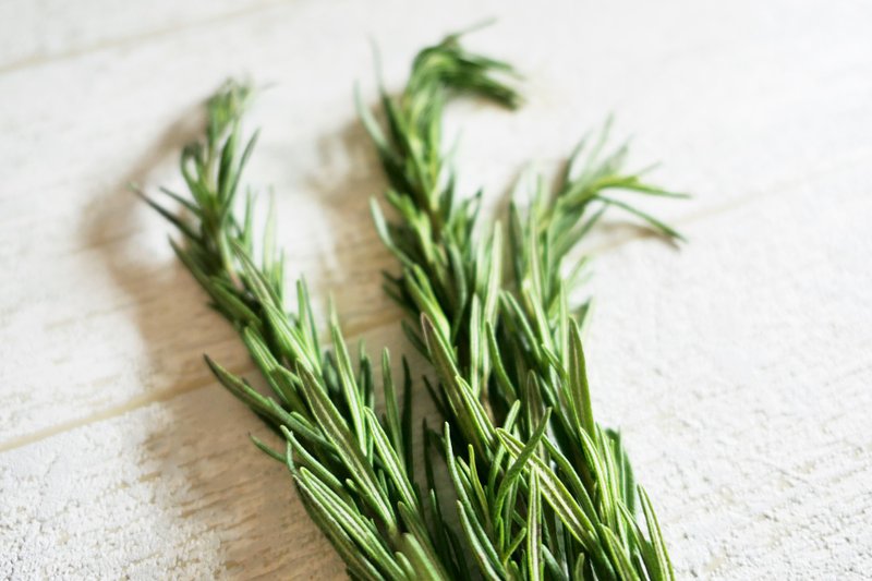 【迷迭香】_香草香料 - 美食 - 新鲜食材 