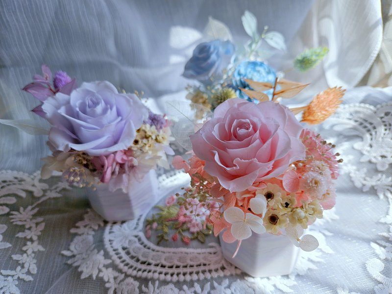 永生玫瑰扩香盆花 - 干燥花/捧花 - 植物．花 粉红色