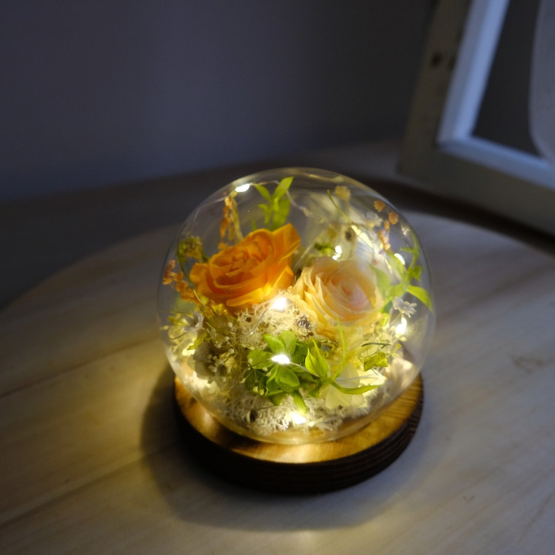 【永生花钟罩】干燥花/永生花/钟罩/礼物/橘色/送礼/夜灯 - 植栽/盆栽 - 植物．花 橘色