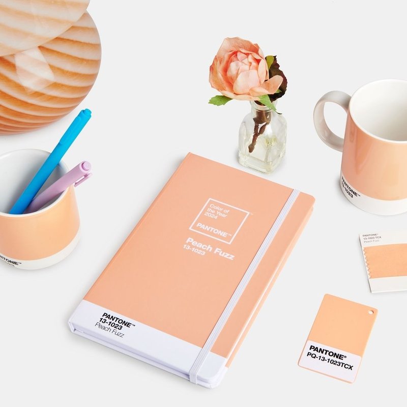 PANTONE 彩通 2024柔和桃限定色 - 其他 - 其他材质 