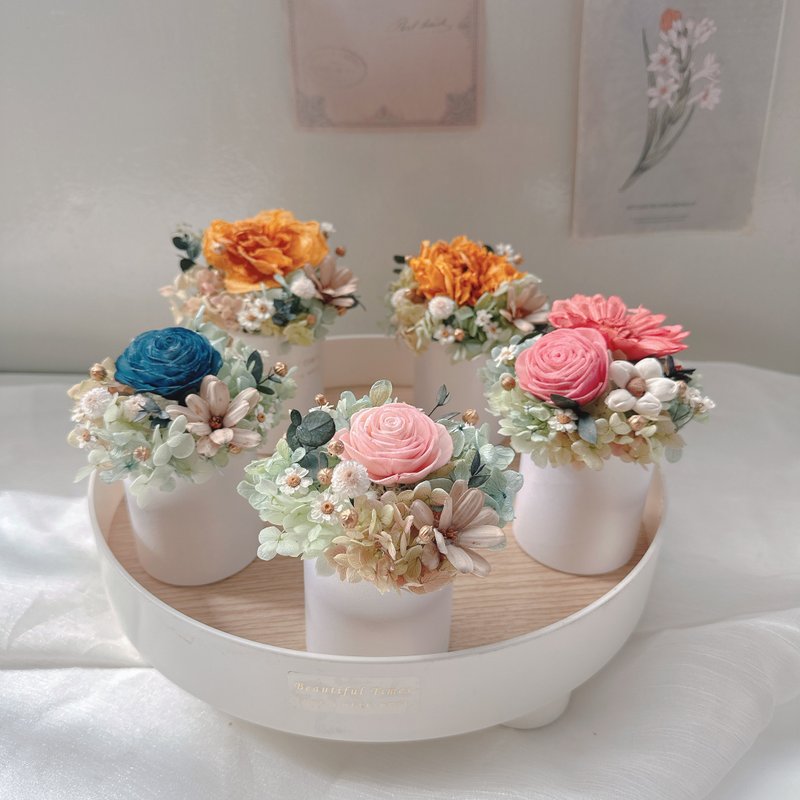永生花 x 扩香花 | 母亲节花礼、新居落成、居家摆设、谢师礼 - 干燥花/捧花 - 植物．花 多色