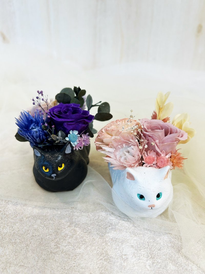 猫猫迷你盆饰 日式盆花 永生花 香氛花 索拉花 不凋花 - 干燥花/捧花 - 陶 白色