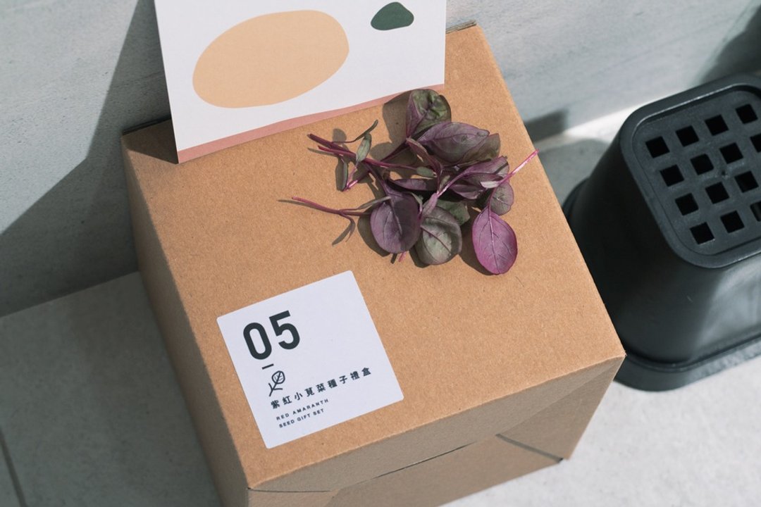 05紫红小苋菜种子_入坑礼物盒 - 植栽/盆栽 - 植物．花 